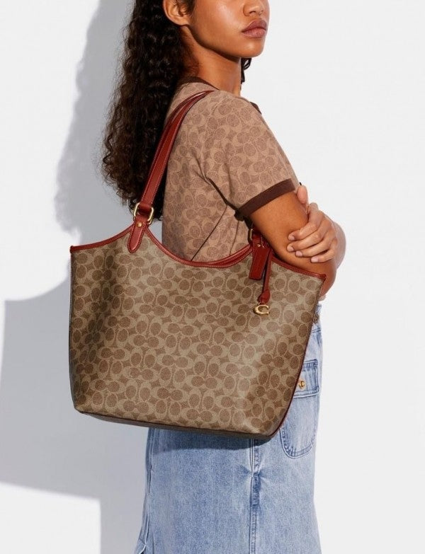 Day Tote With Removable Pouch & Dust Bag (Brown - 968)