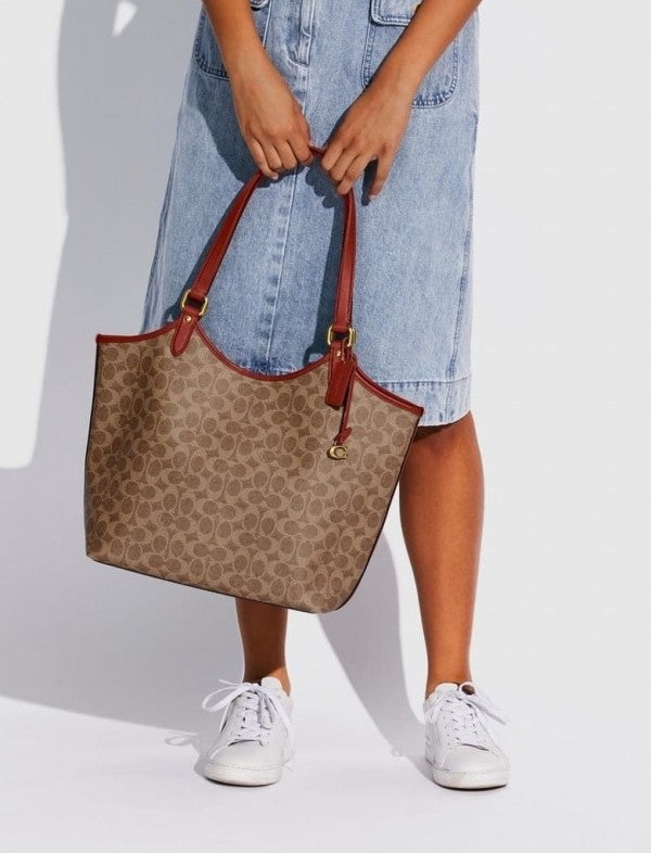Day Tote With Removable Pouch & Dust Bag (Brown - 968)