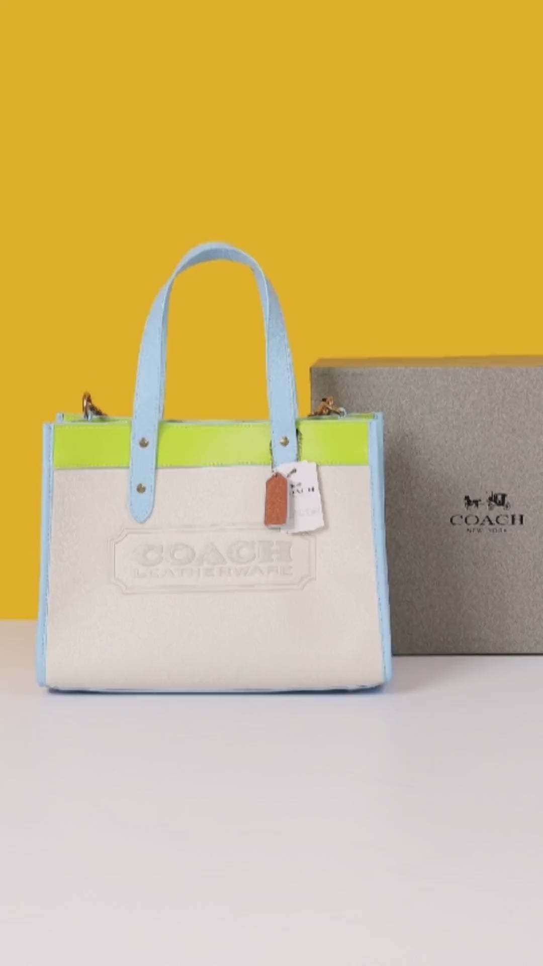 Field Tote Bag With OG Double Box & Dust Bag & Shoulder Strap (Multi - 975)