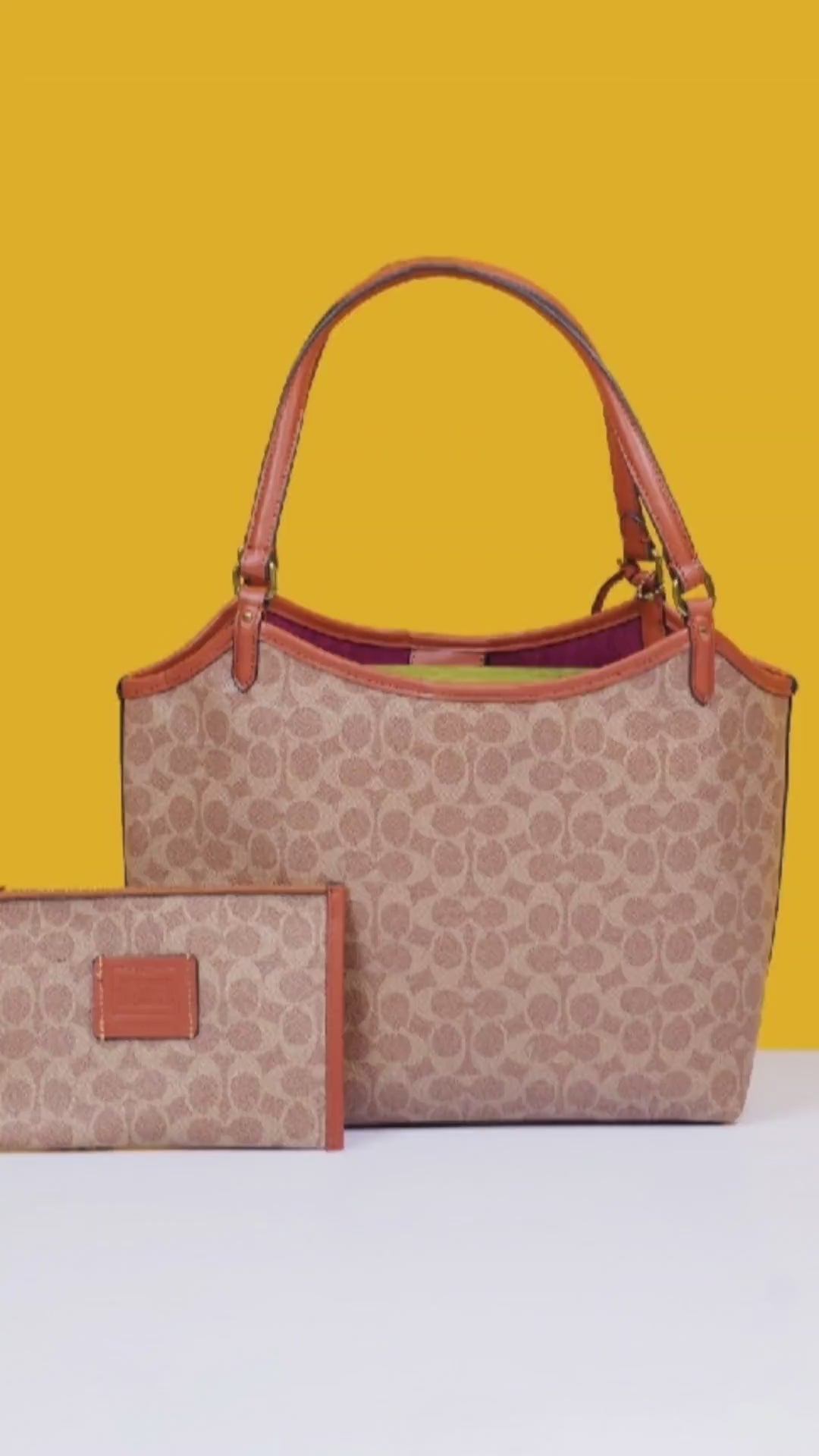 Day Tote With Removable Pouch & Dust Bag (Brown - 968)
