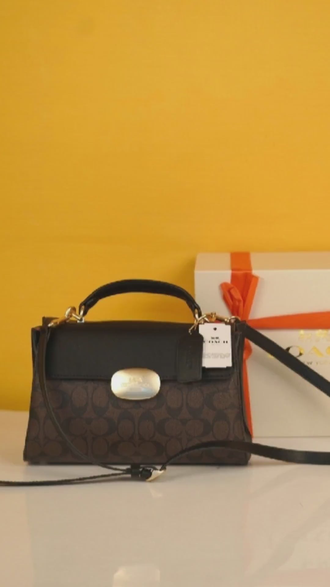 Eliza Top Handle Premium Crossbody Bag With OG Magnetic Gift Box & Dust Bag (Black Brown - 913)